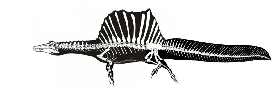 哥伦波奥沙拉龙