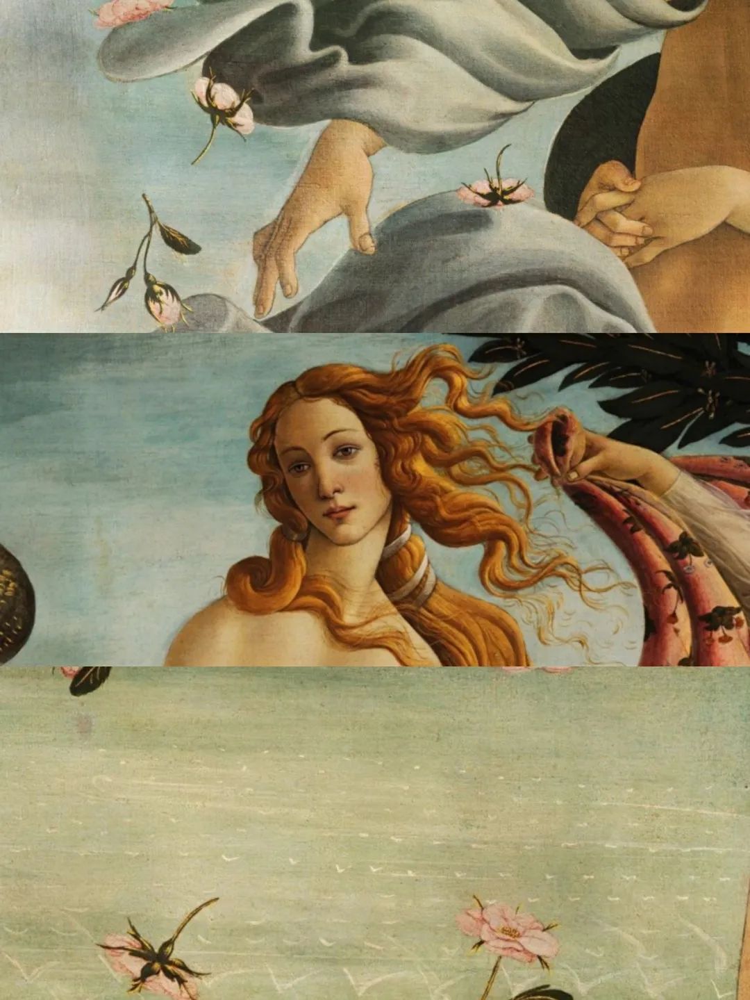 名画欣赏《维纳斯的诞生》波提切利