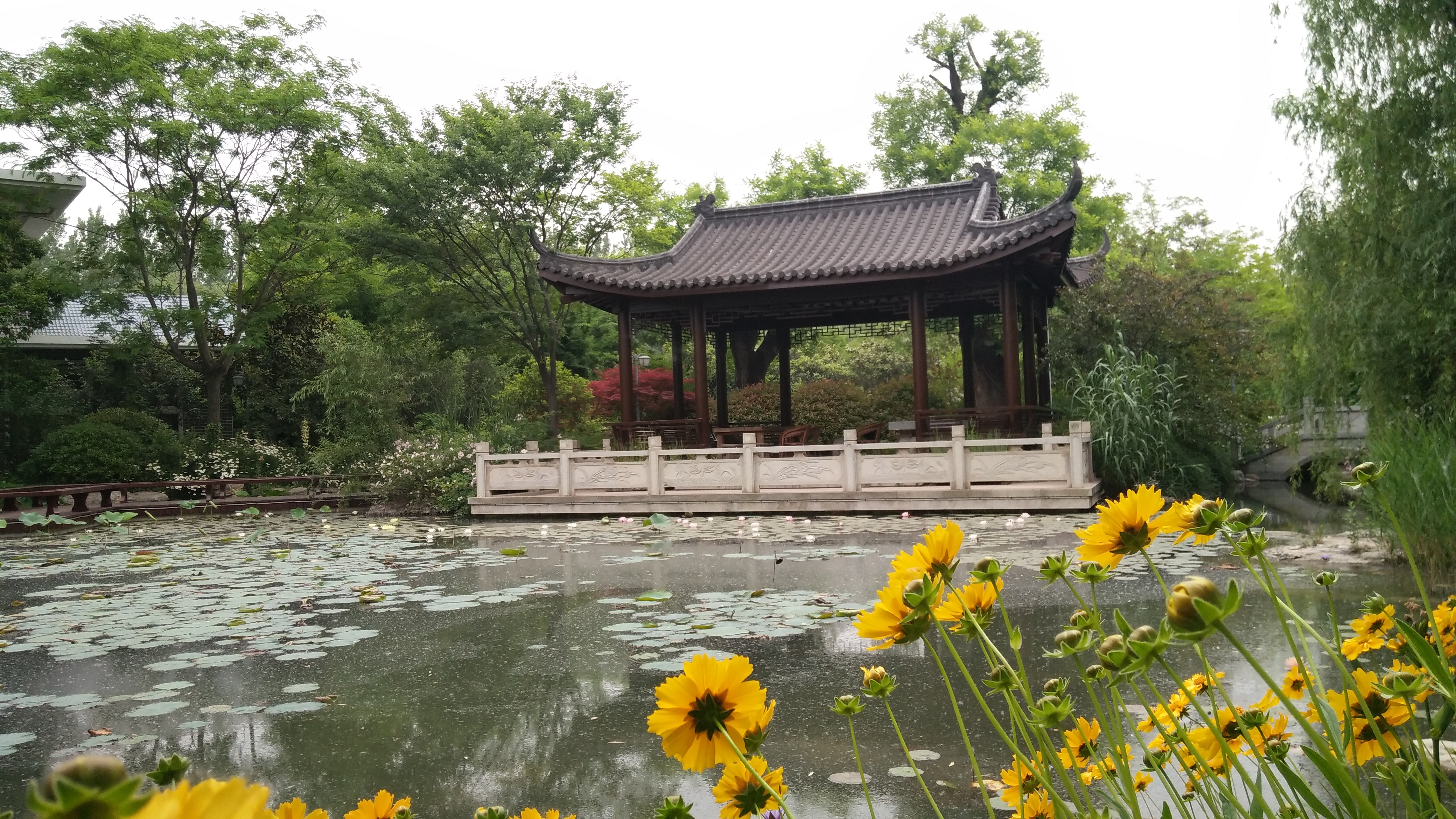 沈丘县中华槐园