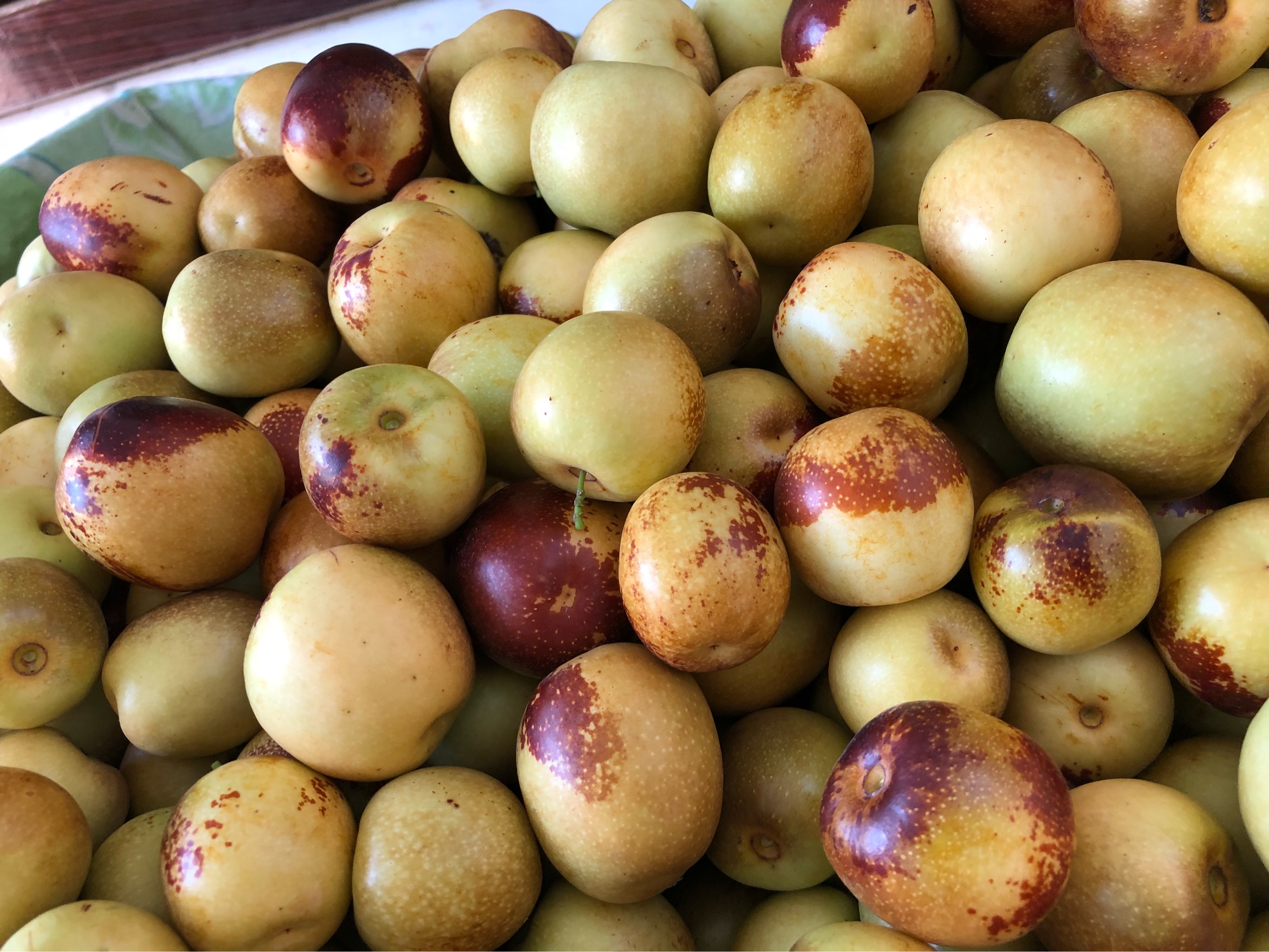  p data-id="txtbqvdda3wd">冬枣,鼠李科枣属落叶小乔木,树皮为褐色或