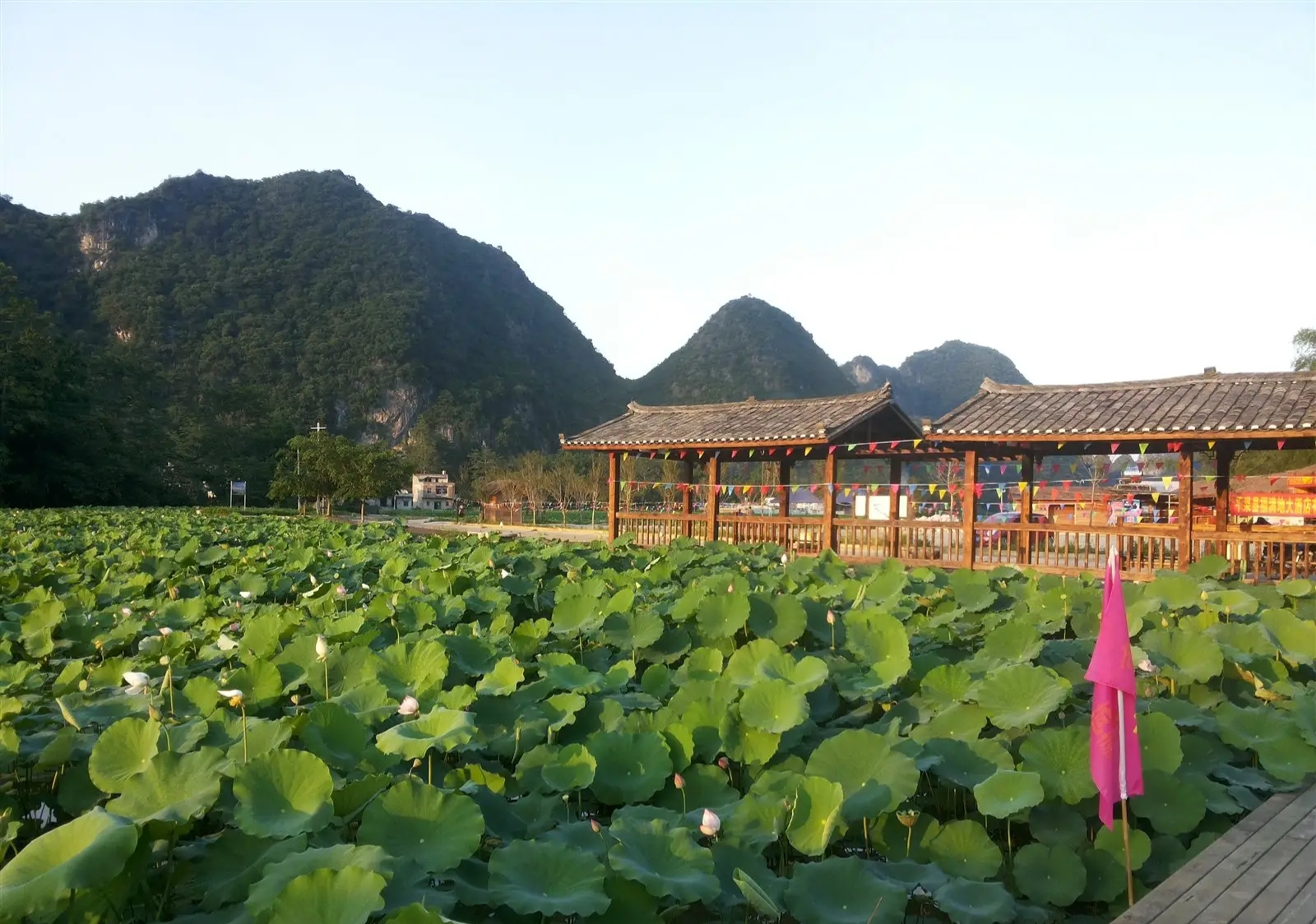 坡造镇