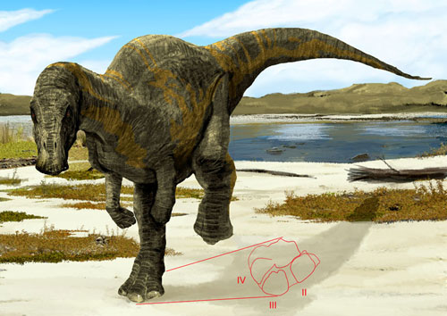  p>恐龙(英文名:dinosaur),是指三角龙,现代鸟类和梁龙最近的共同祖先