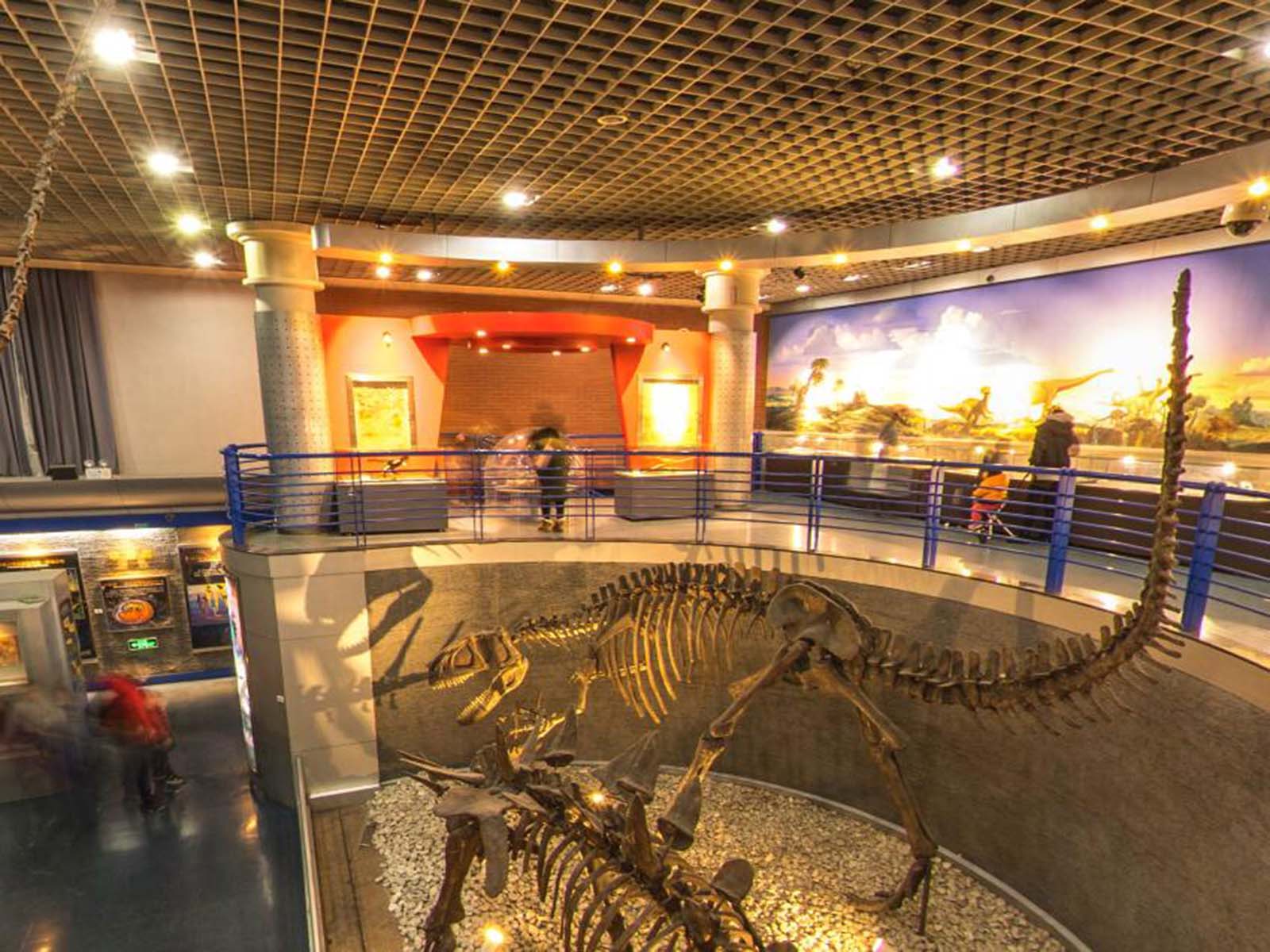 北京自然博物馆(北京自然博物馆图片)