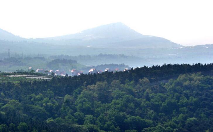 兰山茶山旅游区