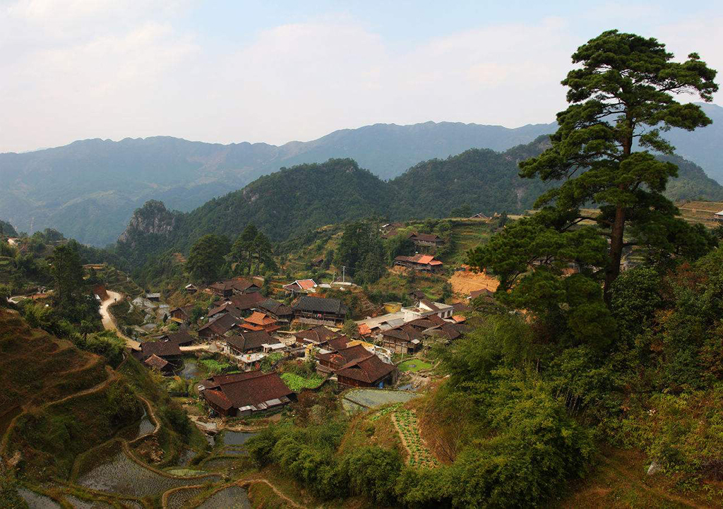 广西元宝山国家级自然保护区