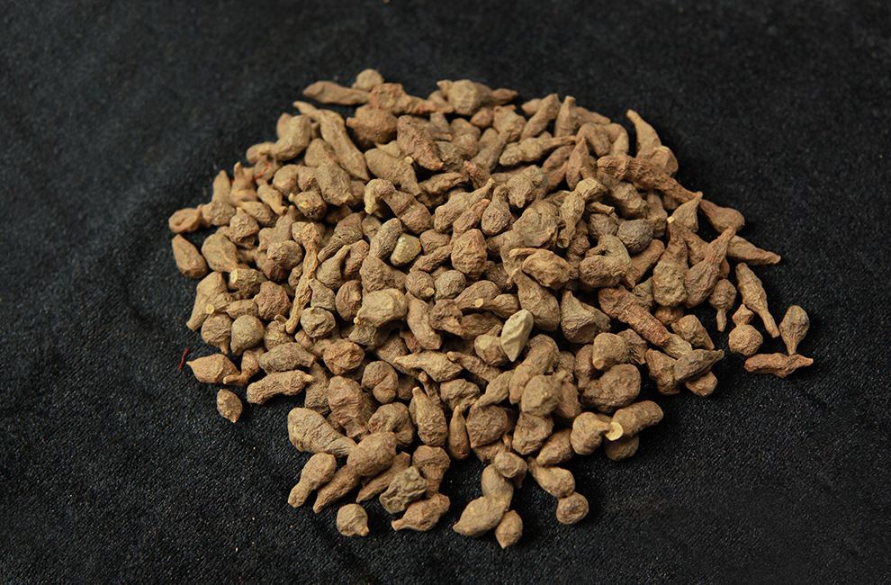  p>灰叶蕨麻,生 a href="#" data-lemmaid="1734248">山坡 /a>草地