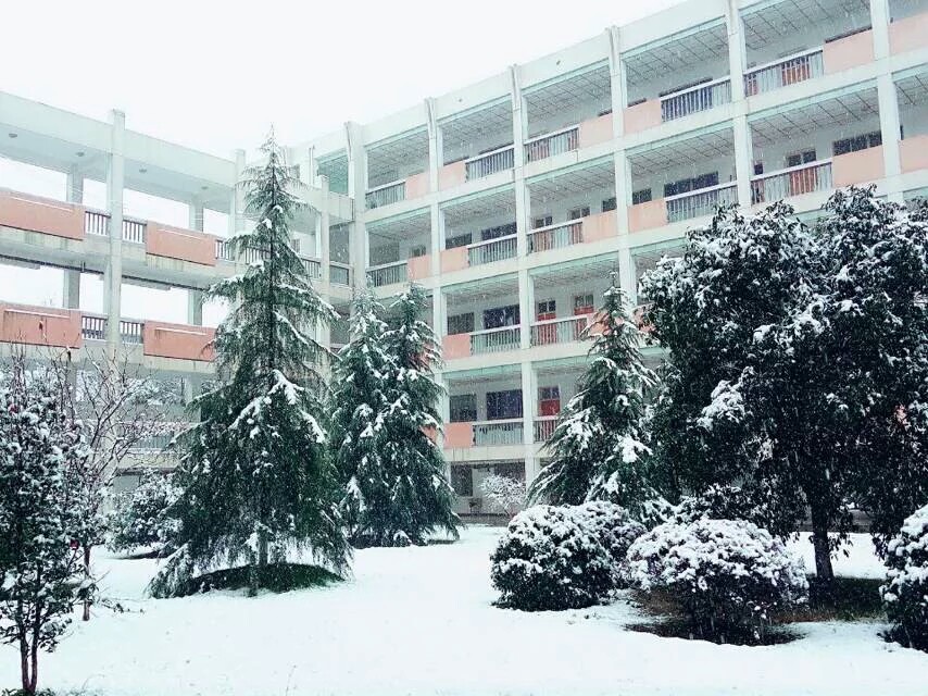  p>龙游县第二高级中学的前身是龙游县溪口中学和湖镇中学,简称龙二高