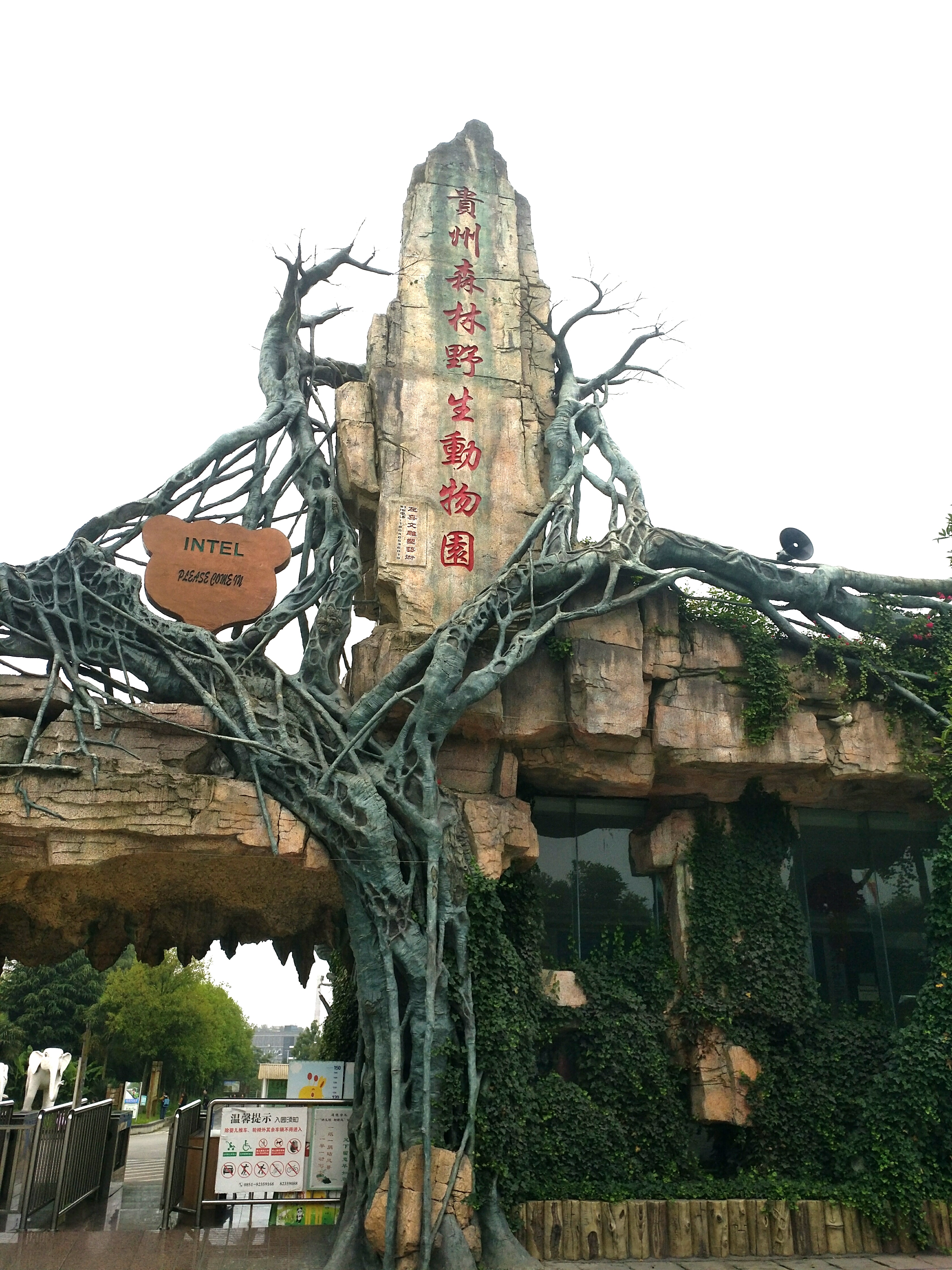  p>贵州森林野生动物园(简称:贵野)是2004年10月通过贵阳市泛珠江三角