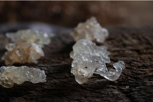 雪燕到底能不能美容？_百科TA说