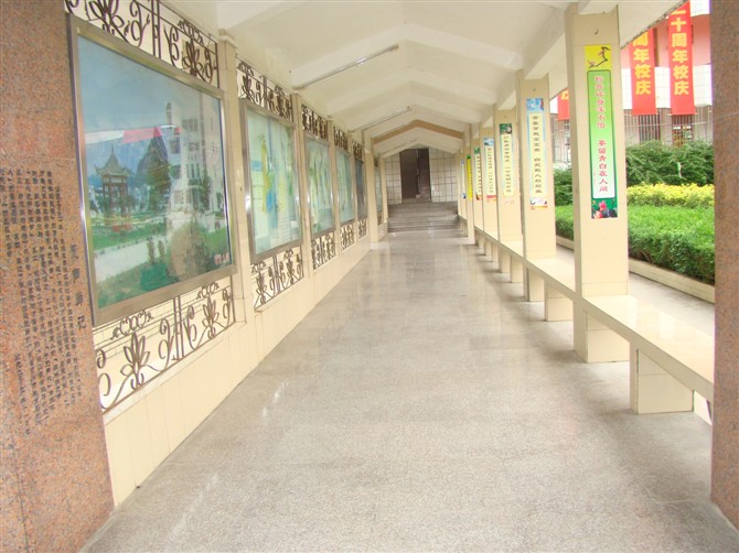 大化县高级中学位于广西壮族自治区河池市大