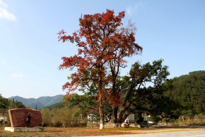 三湾改编旧址群