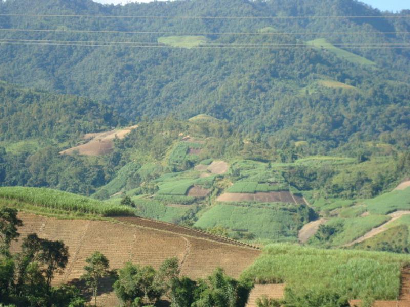  p data-id="gn7v1jgqyn">该行政村隶属陇川县王子树乡,地处王子树乡