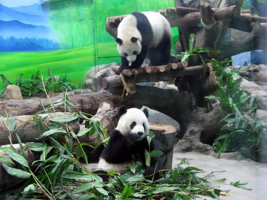  p> b>台北动物园 /b>(taipei zoo)又名木栅动物园,台北市立动物园)