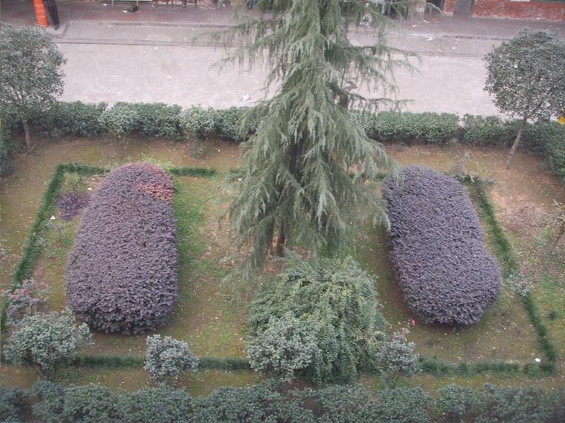  p data-id="gnbkad7gvx"> a target="_blank" href="/item/涟源二中