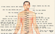 任督二脉及十二经络图册