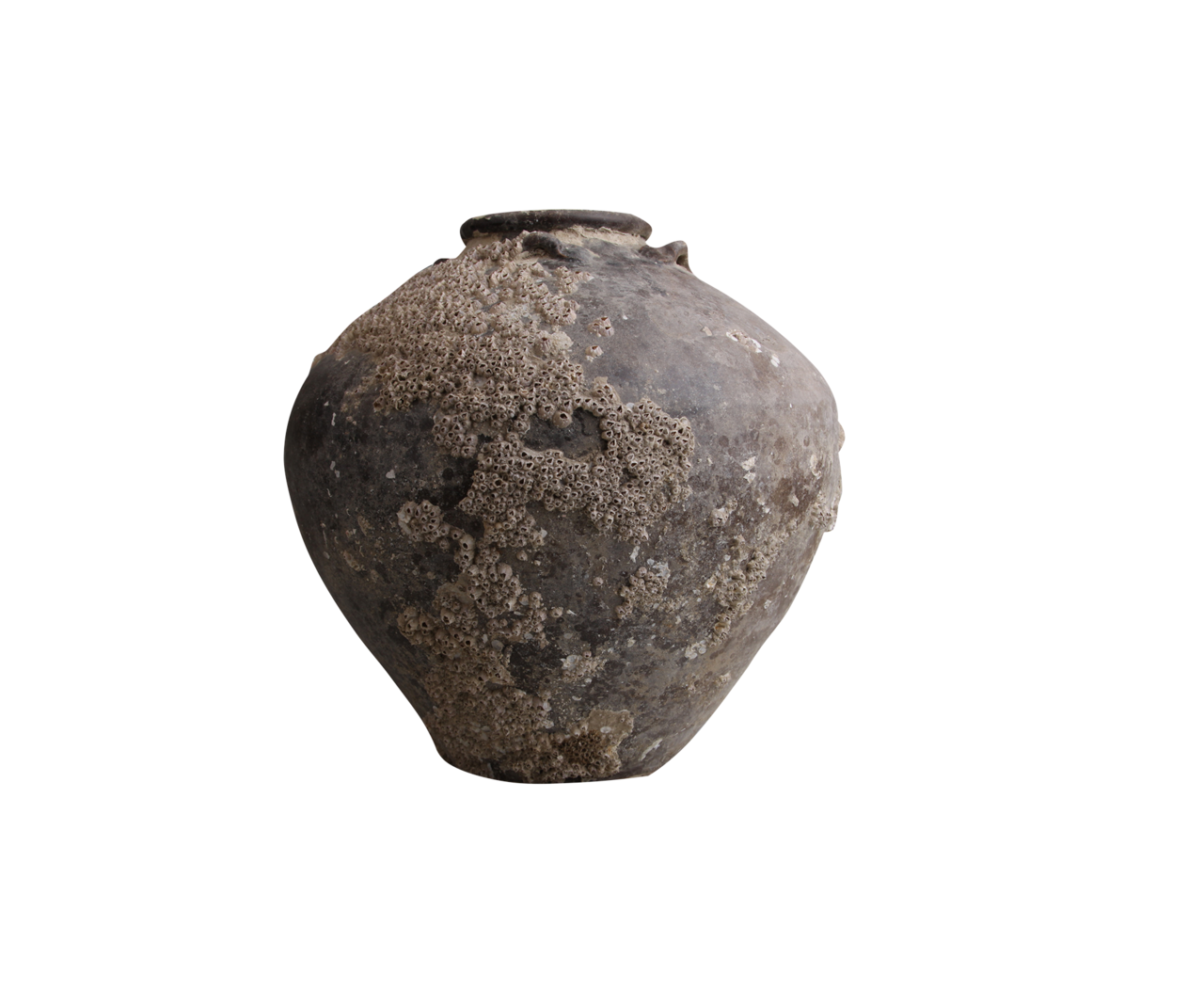 此展品为明代文物.直径30厘米