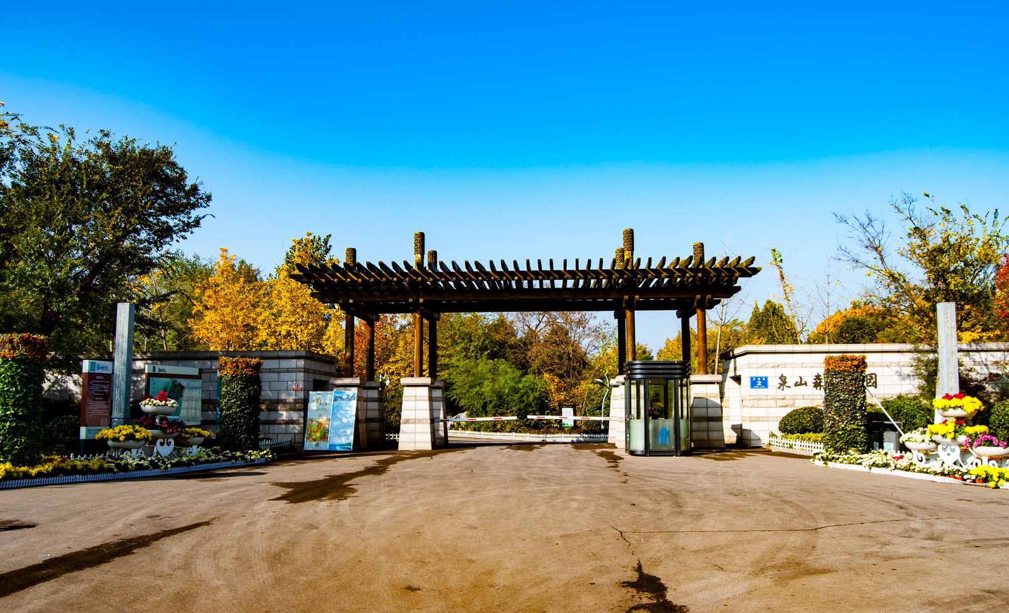 徐州泉山森林公园