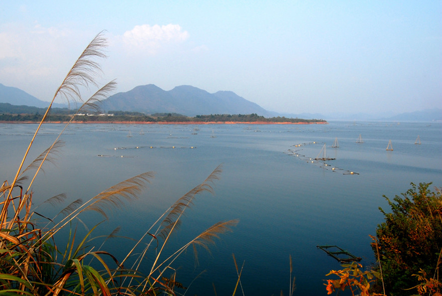  p>太平湖镇隶属于安徽省黄山市黄山区,地处黄山区西北部.