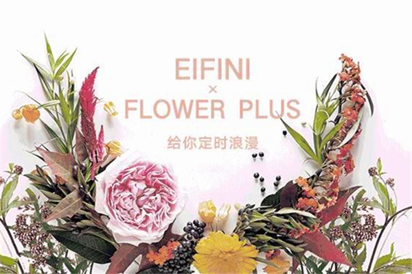  p>flowerplus是鲜花电商品牌,属于 a target="_bl