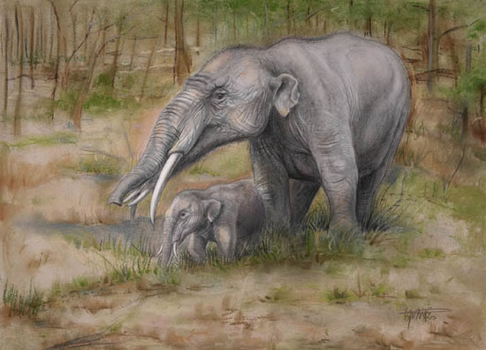 嵌齿象(gomphotherium)