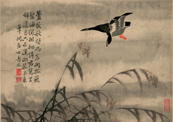 芦雁图（边寿民画作）_百度百科