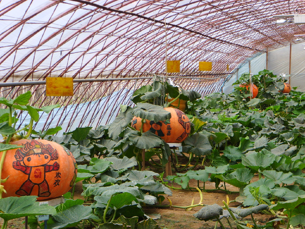 北戴河生态农业观光园