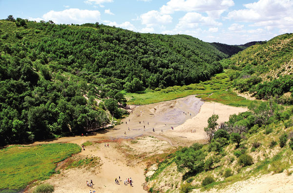 大渡口地下森林也称蛇皮河地下森林,位于内蒙古自治区锡林郭勒盟多伦