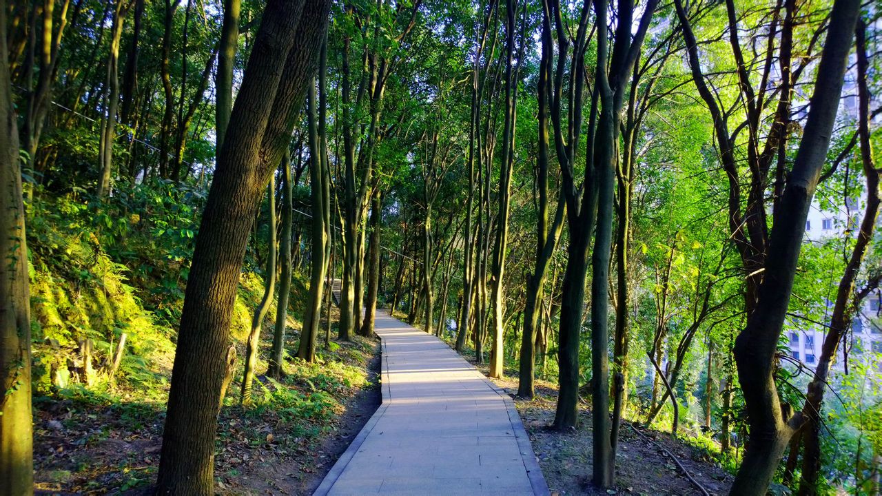  p data-id="go09oslqg5">万松山(wan song hill),浙江省温州市瑞安市