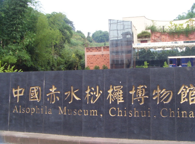 赤水桫椤博物馆