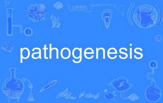 pathogenesis（英语单词）_百度百科