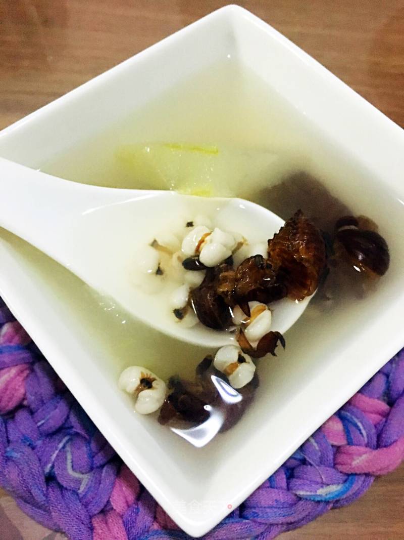 冬瓜苡仁蝉蜕汤