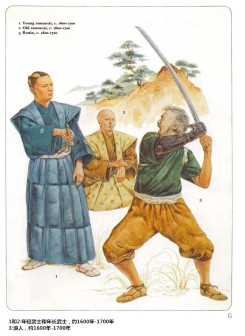 日本武士（日本历史上的一个社会阶级）_百度百科