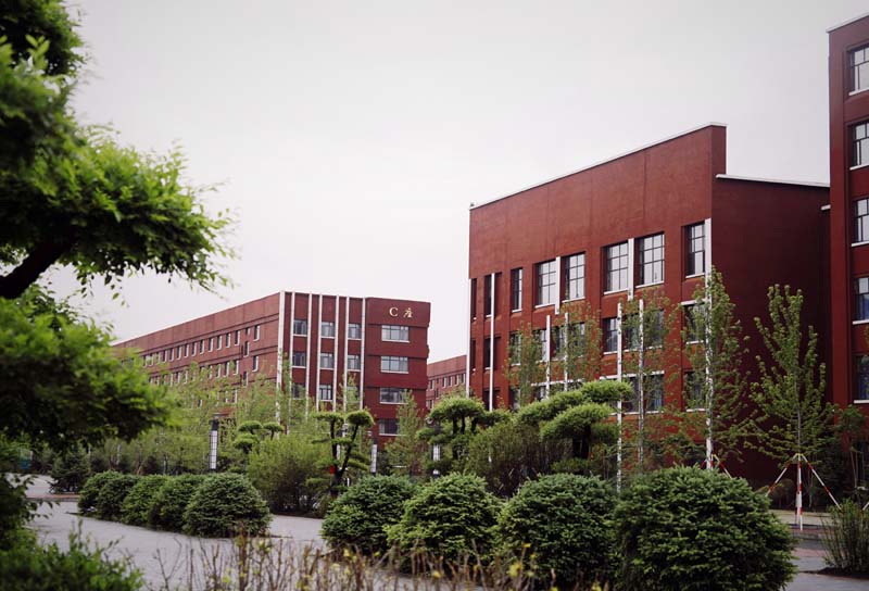 0ujwv8s">望奎县第一中学,2012年增名林枫中学,是绥化市市级示范高中