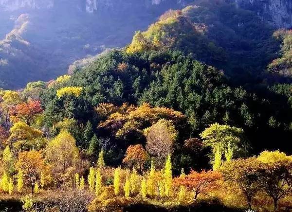 大虎岭省级森林公园