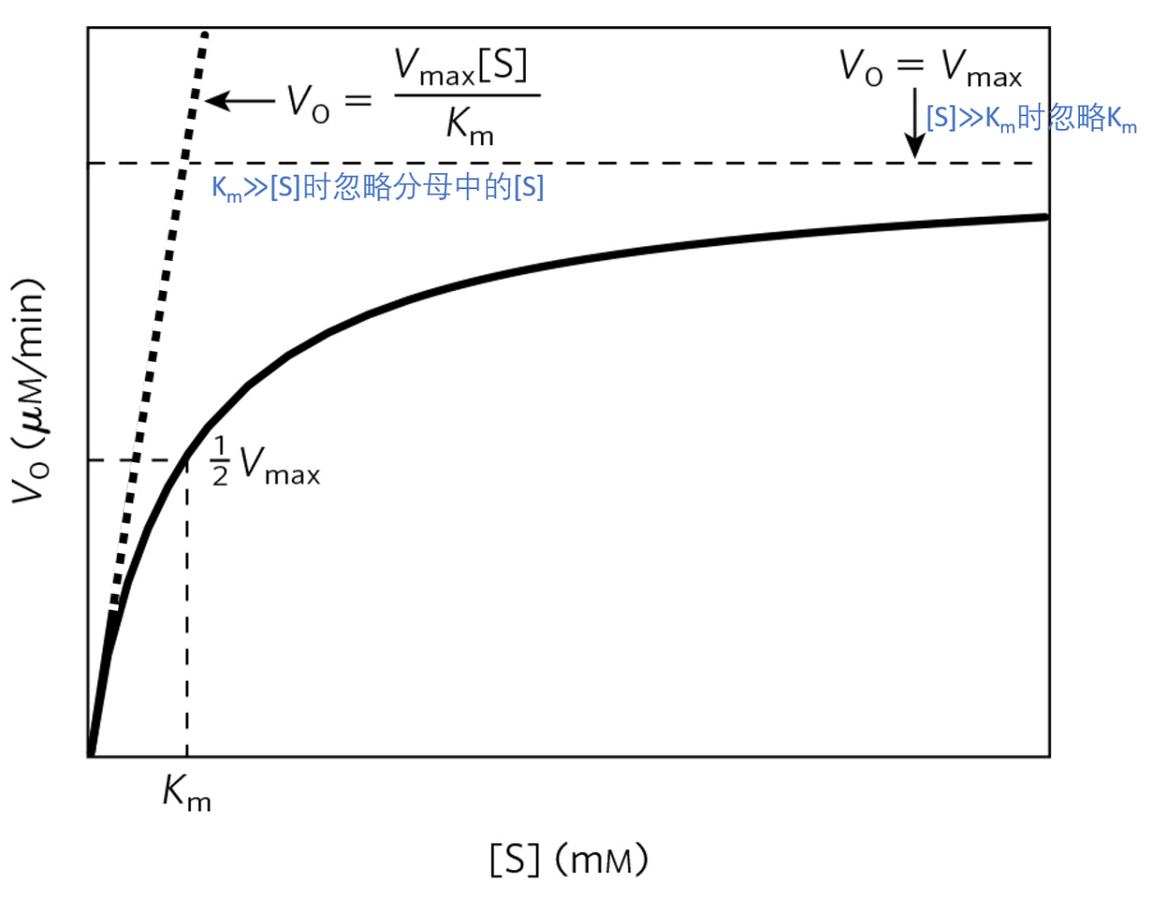 米氏方程的图像及其上下限