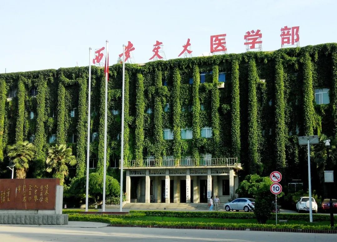 西安交通大学医学部公共卫生学院