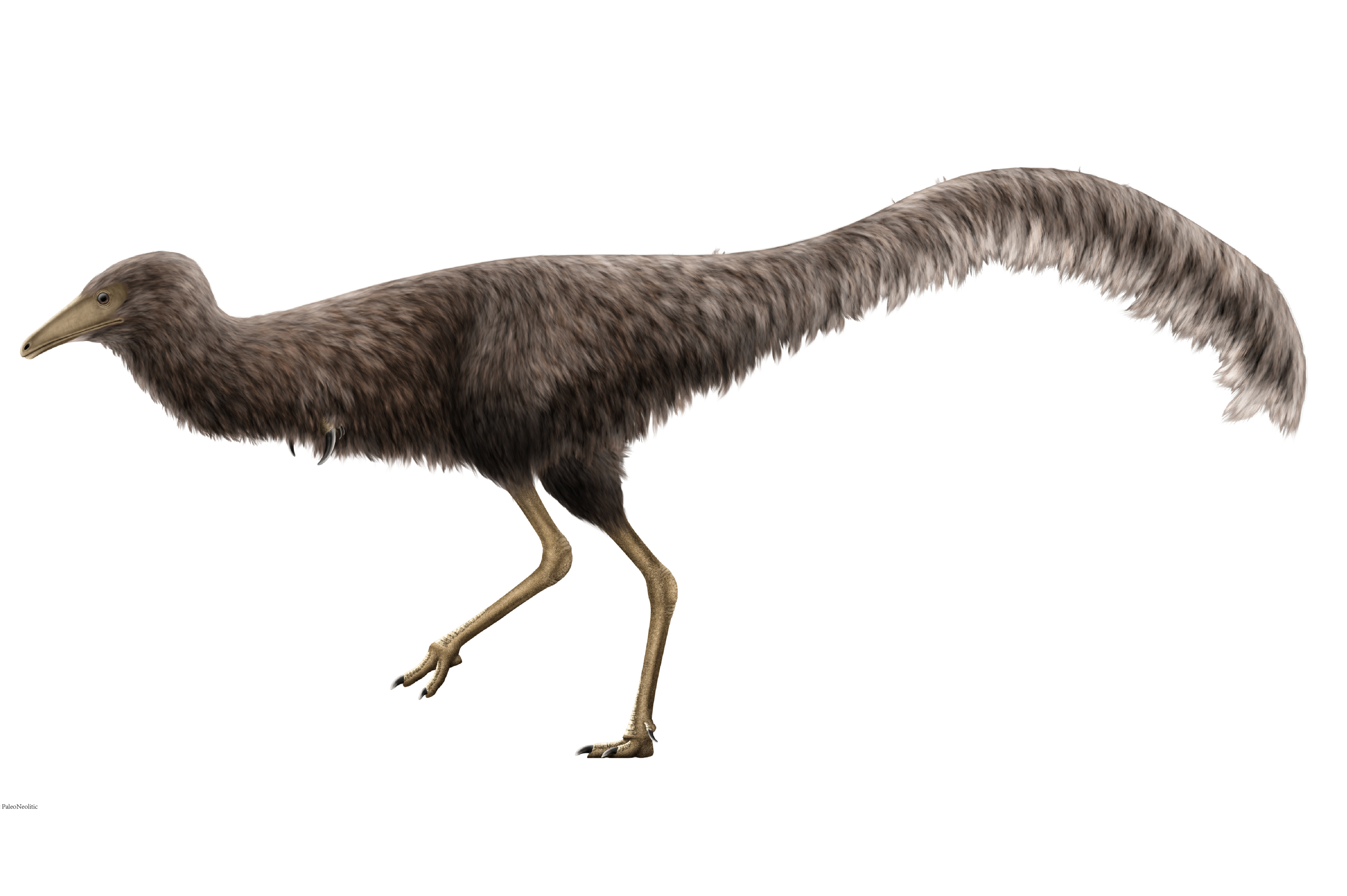  p data-id="gnxaxa10wv">单爪龙是一种发现于蒙古的小型兽脚类恐龙