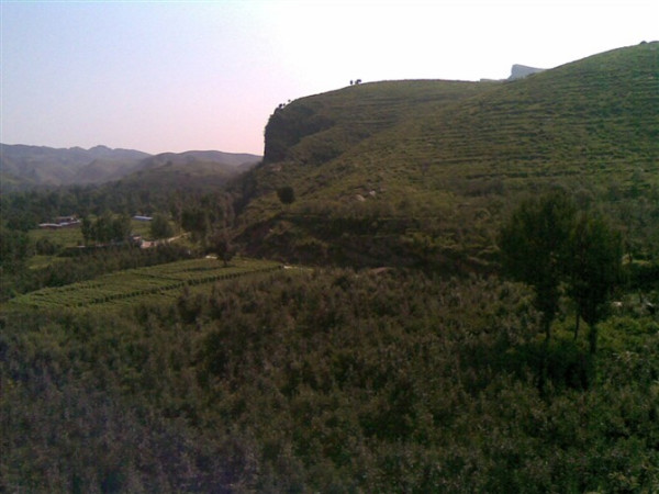  p>大悲乡,河北省保定市 a target="_blank" href="/item/顺平县