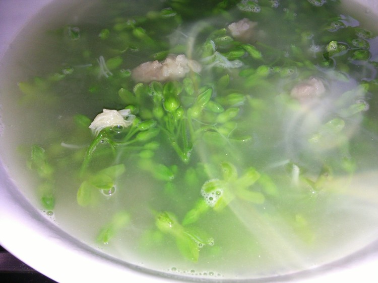 云耳枸杞虾仁夜香花汤