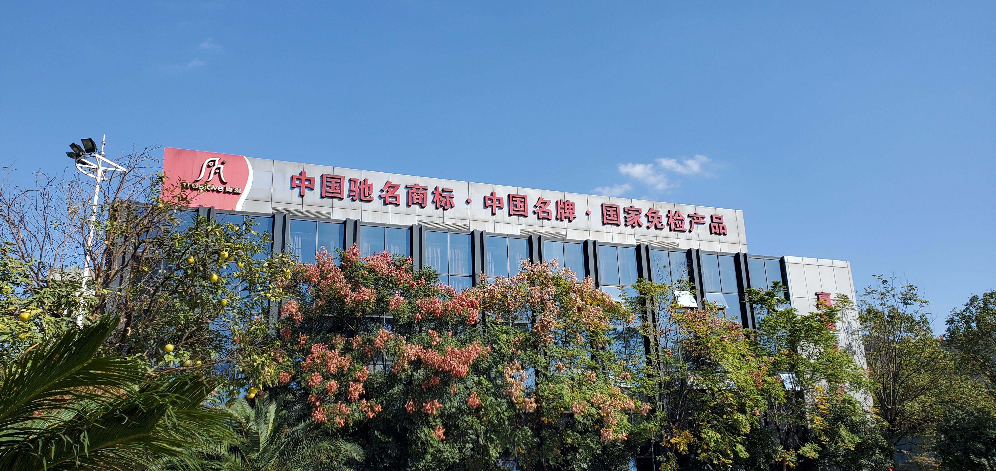 浙江真爱美家股份有限公司