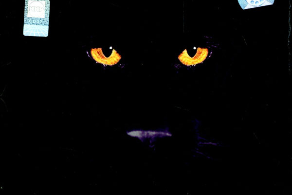  p>《照亮我心》是 a target="_blank" href="/item/黑豹乐队">黑豹