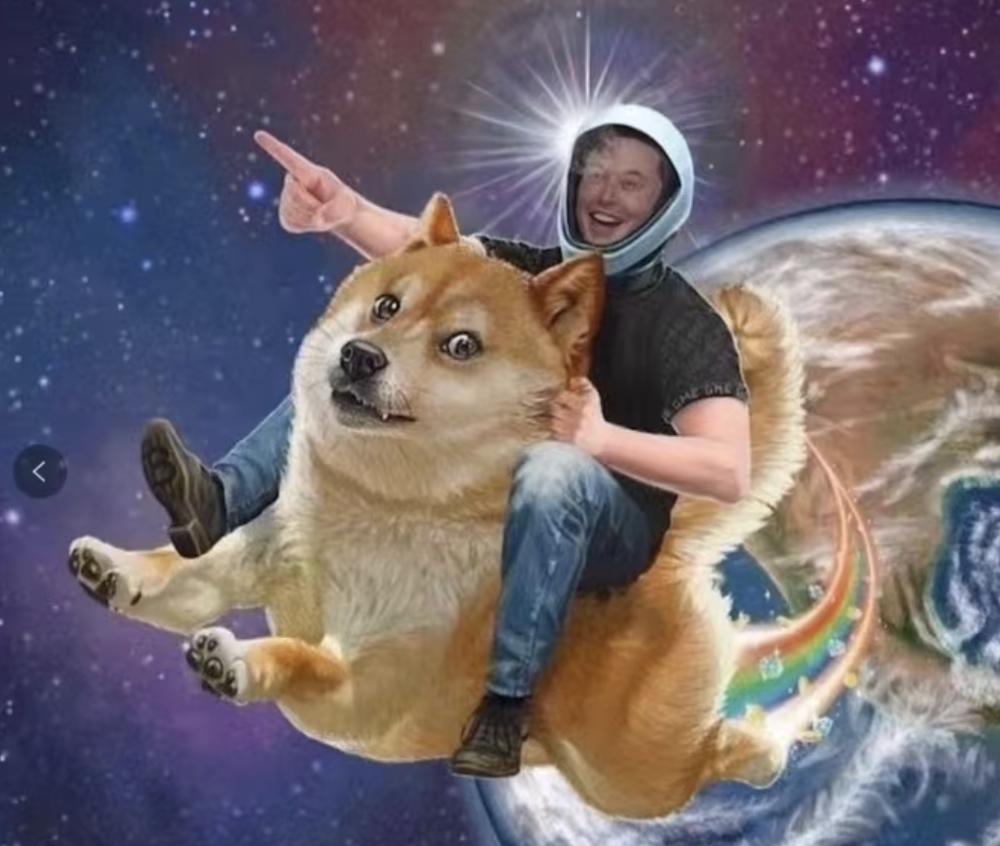 马斯克错了，狗狗币不是骗局，是玩笑！_百科TA说