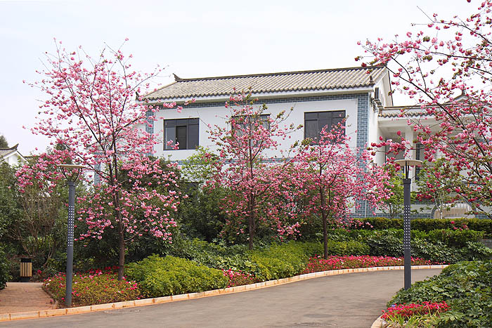 云南农业大学