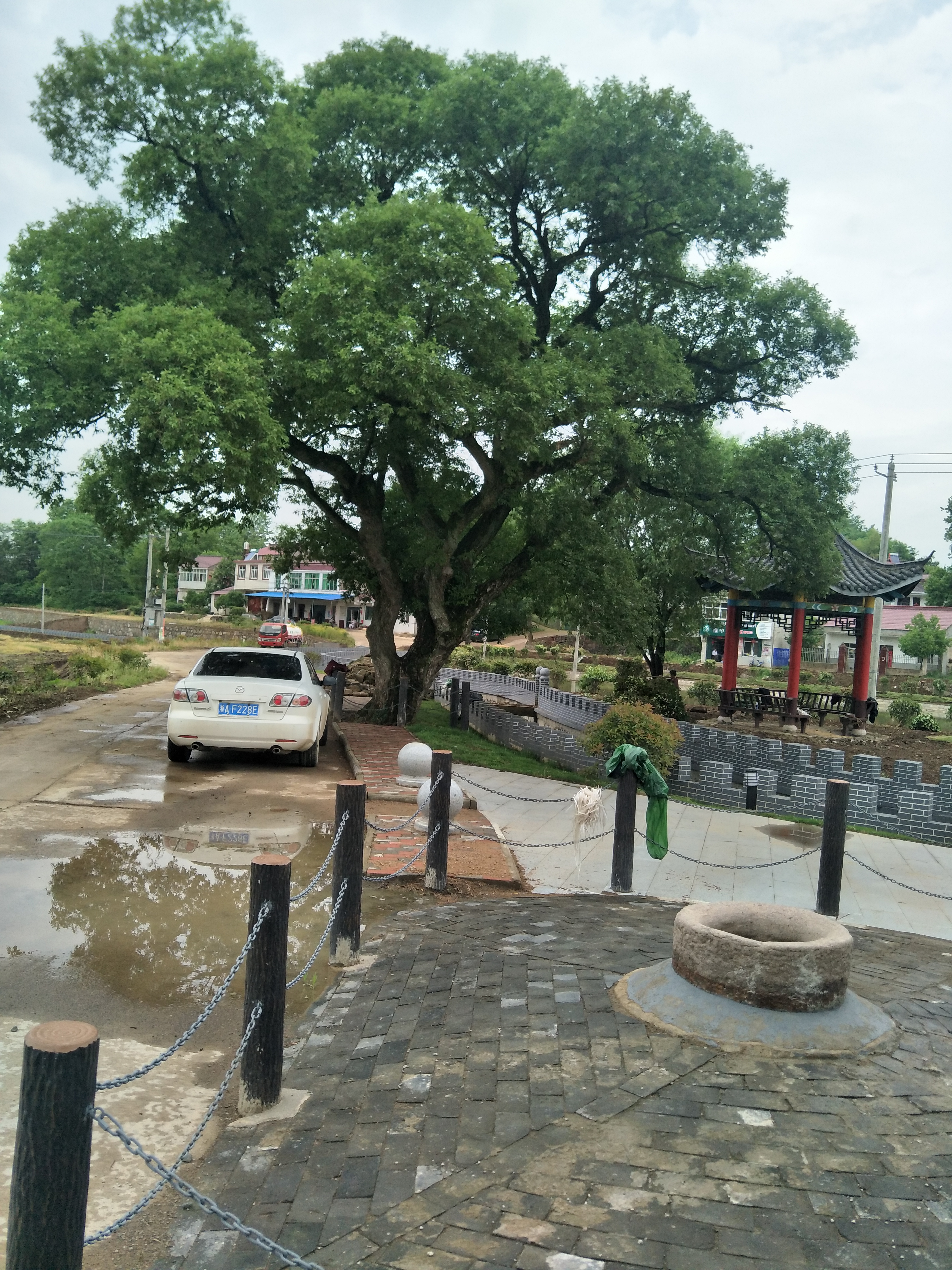  p data-id="gnwzwlz4sv">干汊河镇,隶属于安徽省六安市舒城县,地处 a