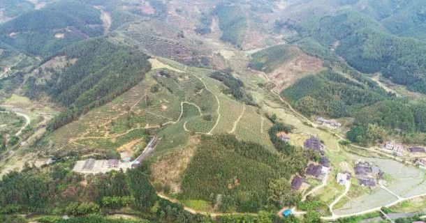 zrv7">梅仙镇,隶属于 a target="_blank" href="/item/湖南省/293174"