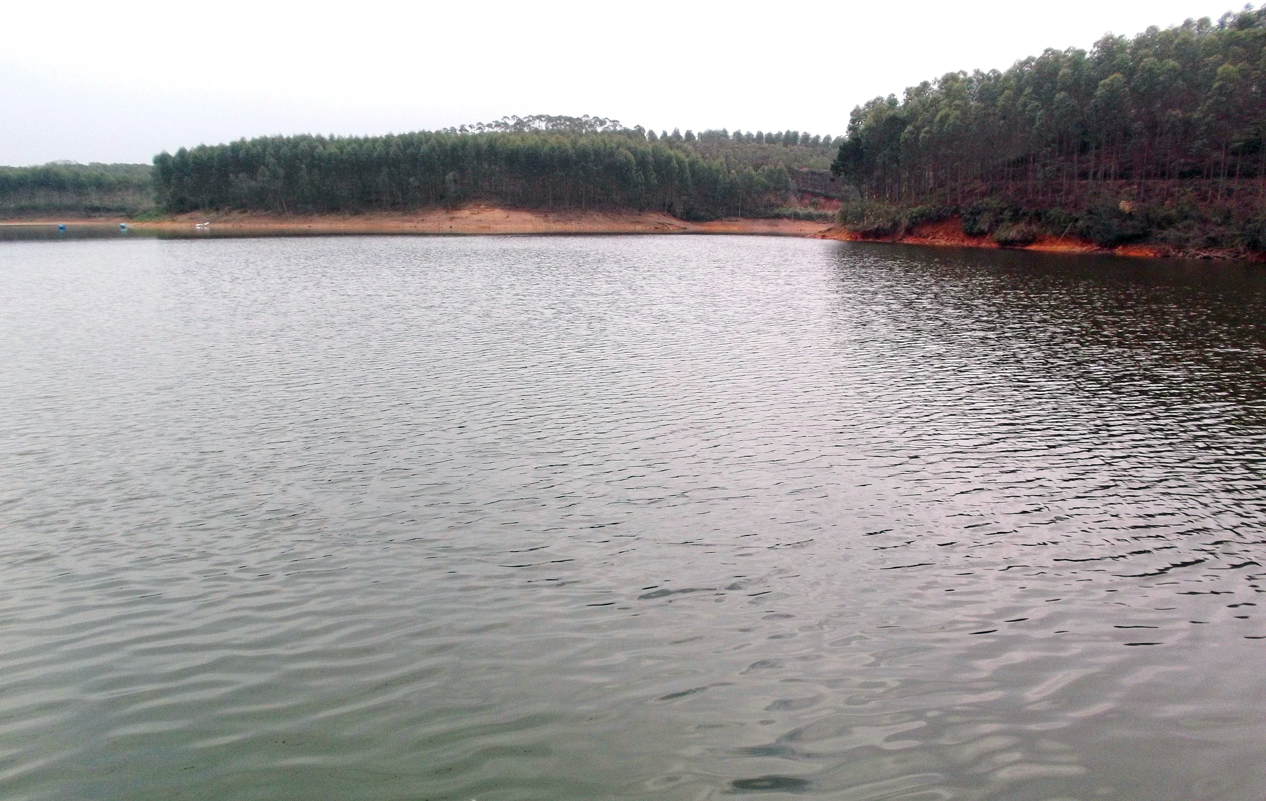 广西博白县龙潭镇