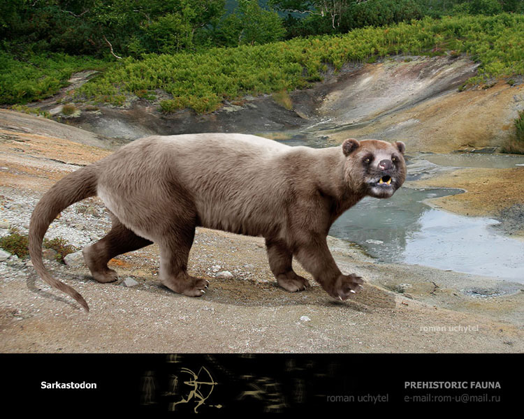 裂肉兽(sarkastodon)