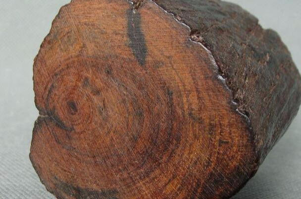  p>紫檀(拉丁学名: i>pterocarpus indicus /i>  willd.