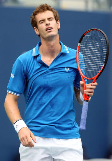 andy murray