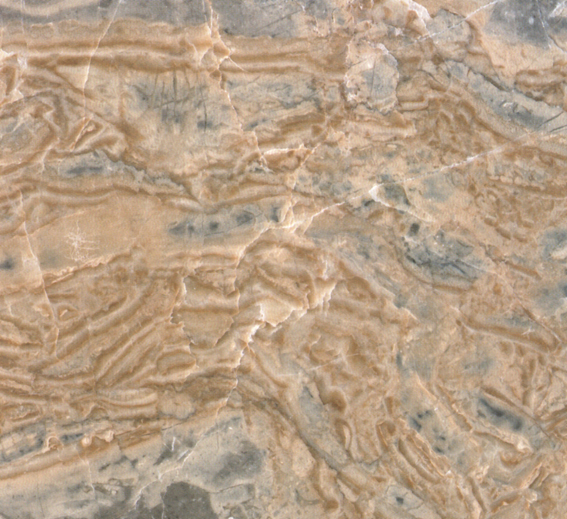 产地是菲律宾,岩性是进口 a target="_blank" href="/item/大理石">